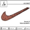 Nike Swoosh | 21 - Rosa Squamato